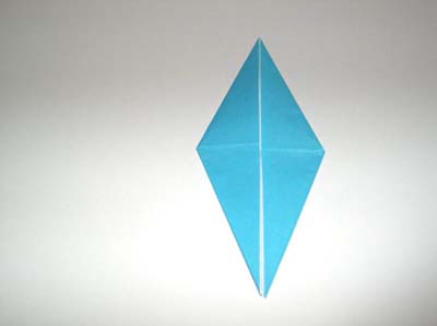 bird base