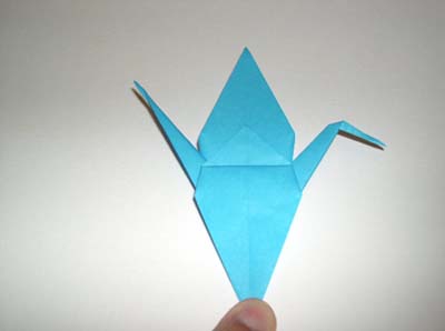wing folded down