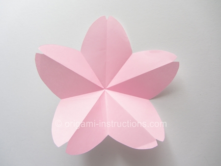 easy-origami-cherry-blossom-step-9
