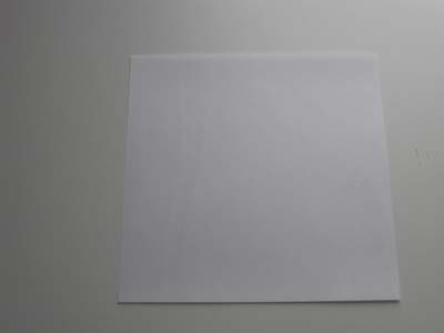 origami-polar-bear-step-1