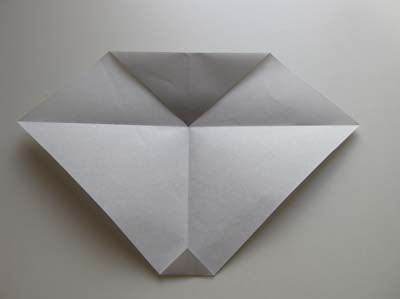 origami-elephant-head-and-body-step-2