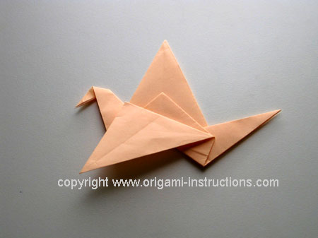 1st wing of flapping bird folded