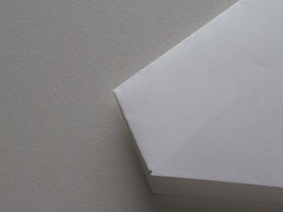 completed-origami-inside-reverse-fold