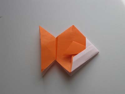 goldfish. Origami Goldfish Step 6: And