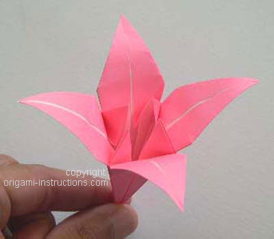 Origami Lily flower photo diagrams 20