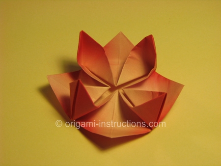 20-origami-lotus