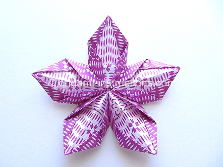 origami-modular-5-petal-flower