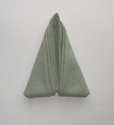 Napkin Folding - Bird of Paradise - Photo Diagrams 6