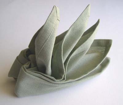 Napkin Folding - Bird of Paradise - Photo Diagrams 8