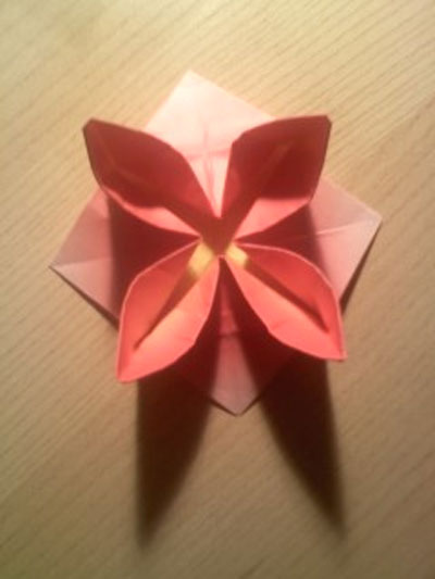 Origami Lotus at origami-instructions.com