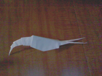 origami-shrimp