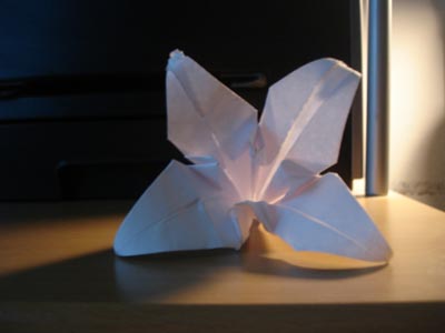 origami-lily