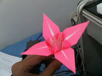 Origami Lily at origami-instructions.com