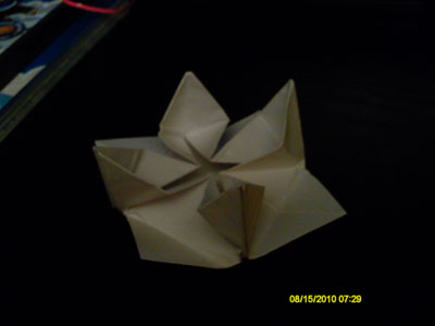 Origami Lotus at origami-instructions.com