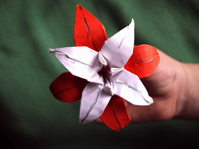 Origami Lily at origami-instructions.com