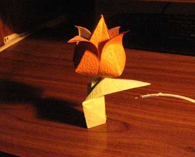 origami-traditional-tulip-leaf