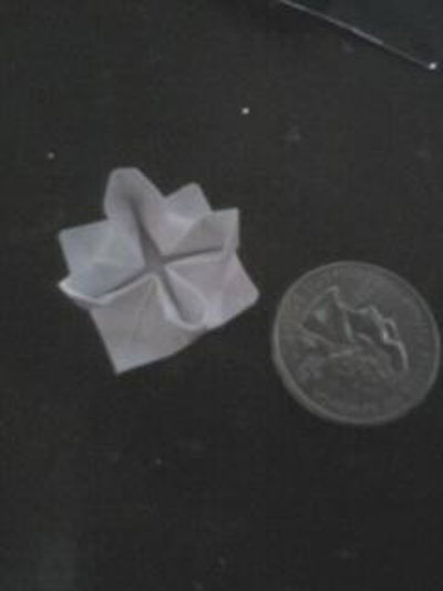 Origami Lotus at origami-instructions.com