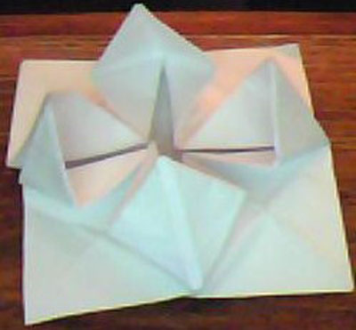 Origami Lotus at origami-instructions.com