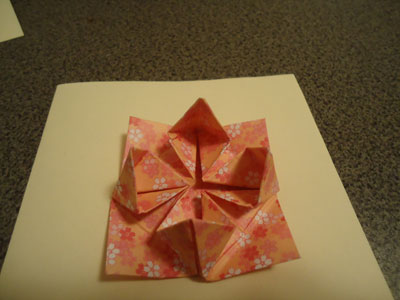 Origami Lotus at origami-instructions.com