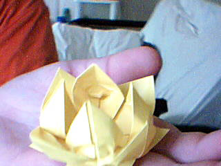 Origami Lotus at origami-instructions.com