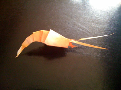 origami-shrimp