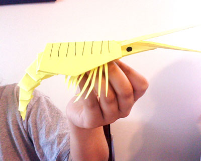 origami-shrimp