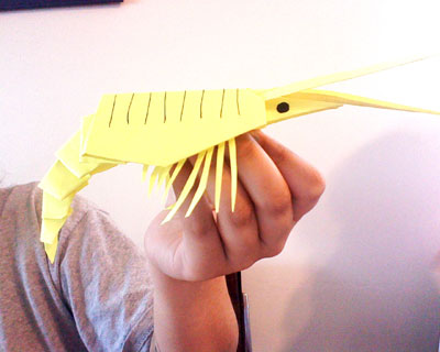 origami-shrimp