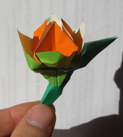 Origami Tulip at origami-instructions.com