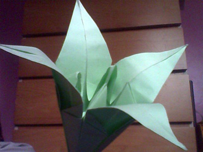 Origami Lily at origami-instructions.com