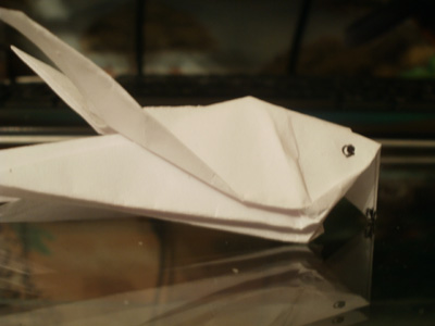 origami-robin