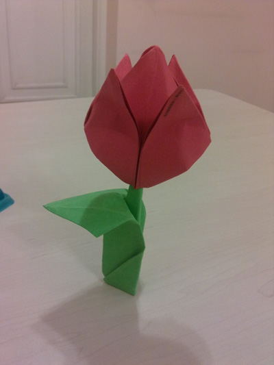 origami-traditional-tulip-leaf