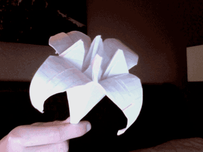 origami-lily