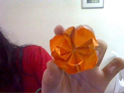 Origami Lotus at origami-instructions.com