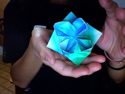 Origami Lotus at origami-instructions.com