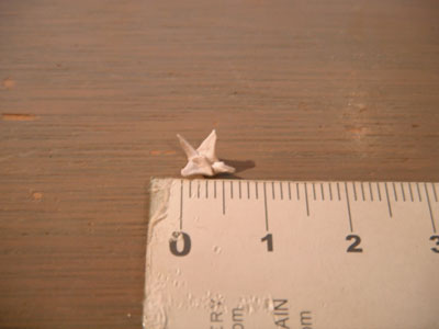 origami-crane