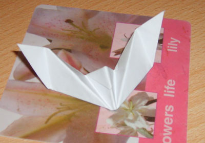 easy-origami-bat