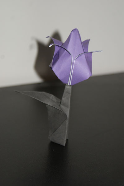 origami-traditional-tulip-leaf