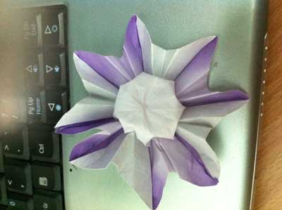 origami-daisy