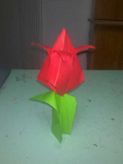 origami-traditional-tulip-leaf