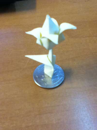 origami-traditional-tulip-leaf