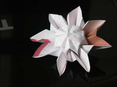 origami-daisy