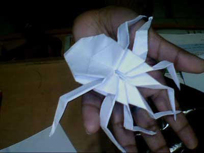 origami-spider