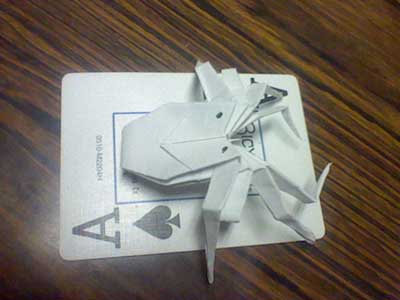 origami-spider