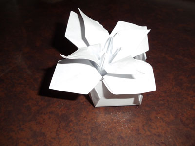 Origami Lily at origami-instructions.com