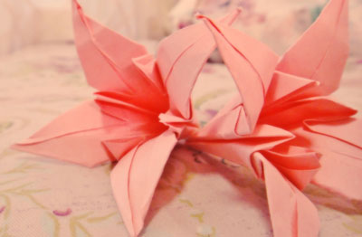 Origami Lily at origami-instructions.com