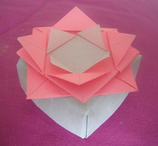 origami-lotus-blossom