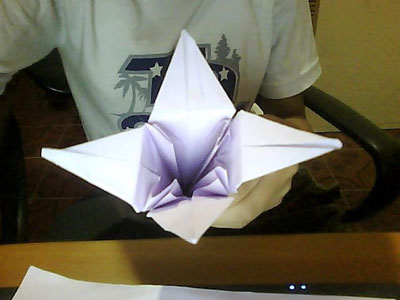 Origami Lily at origami-instructions.com