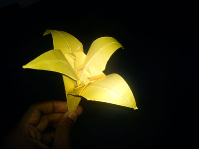 Origami Lily at origami-instructions.com