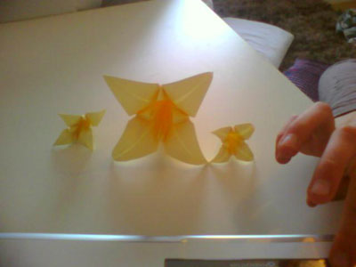 Origami Lily at origami-instructions.com