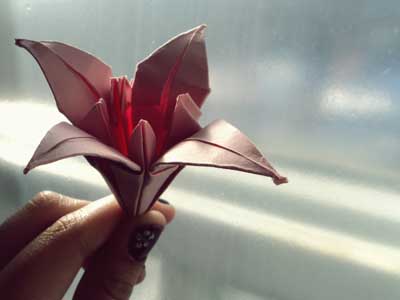 Origami Lily at origami-instructions.com